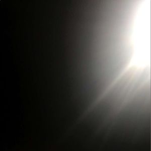 Meet your Posher, Rylee